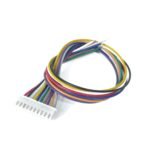 Data Cable JST 10 Pin 2.54mm 24AWG 25cm (One Side Terminal)